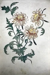 Fleurs